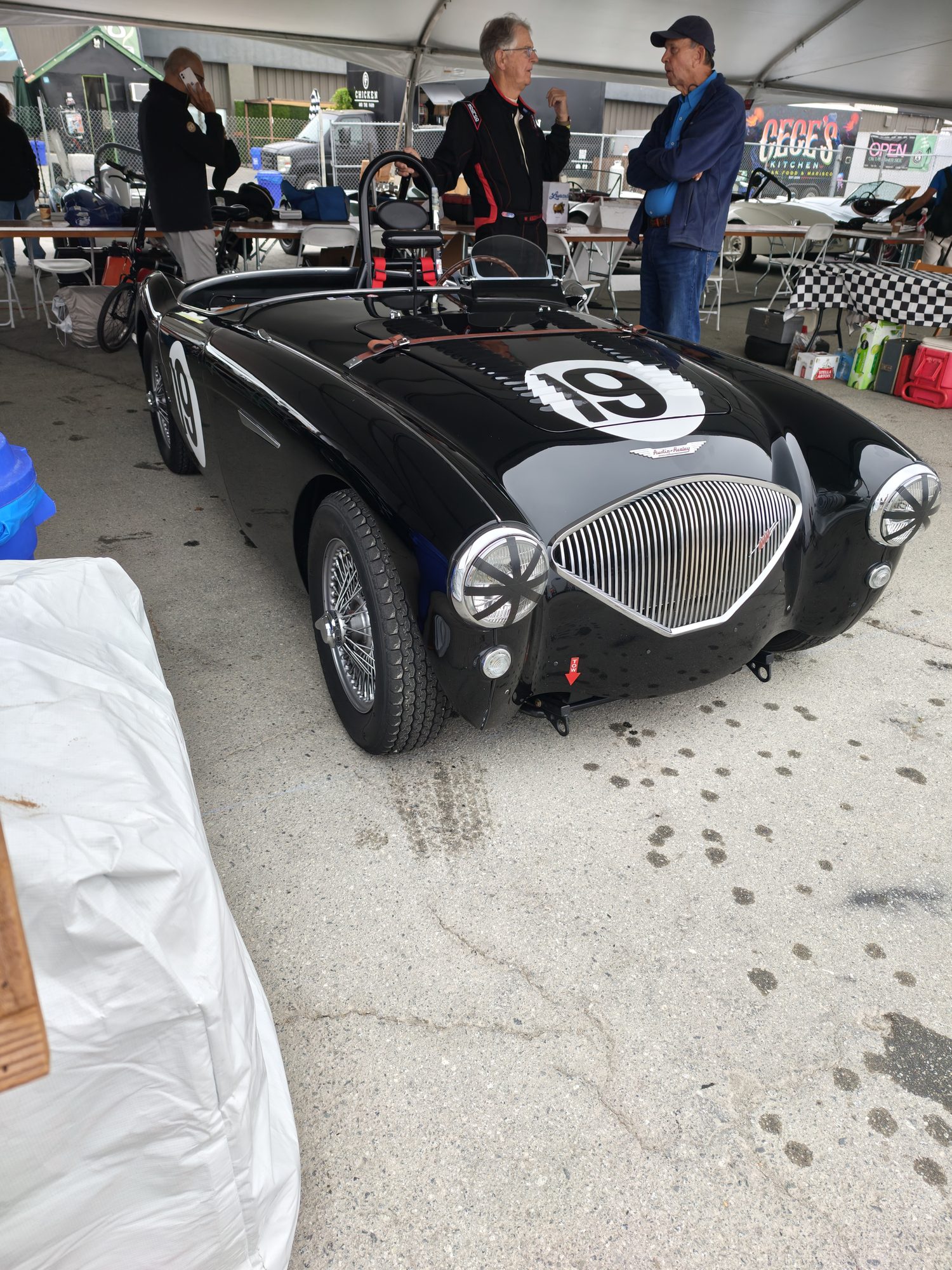 Number 19: Walt Sikes and His 1955 Austin-Healey 100